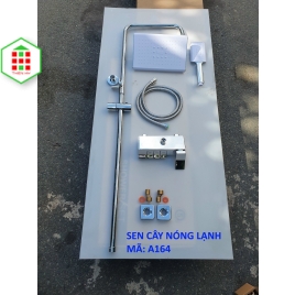 SEN CÂY NÓNG LẠNH A164