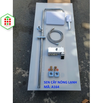 SEN CÂY NÓNG LẠNH A164